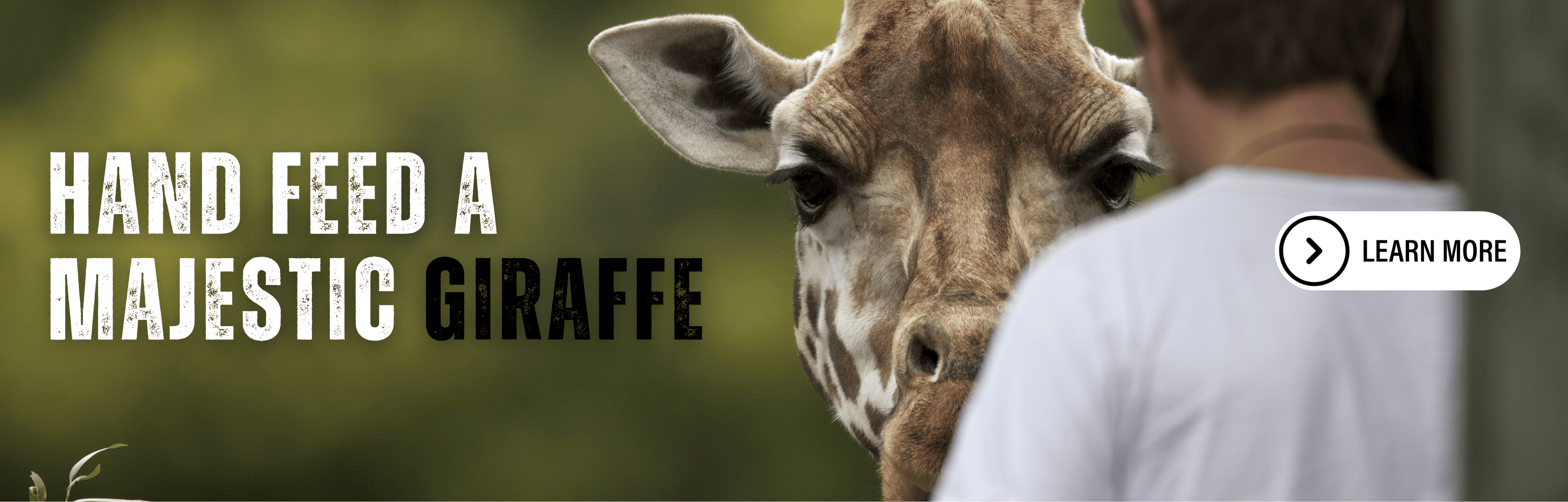 Orana Wildlife Park