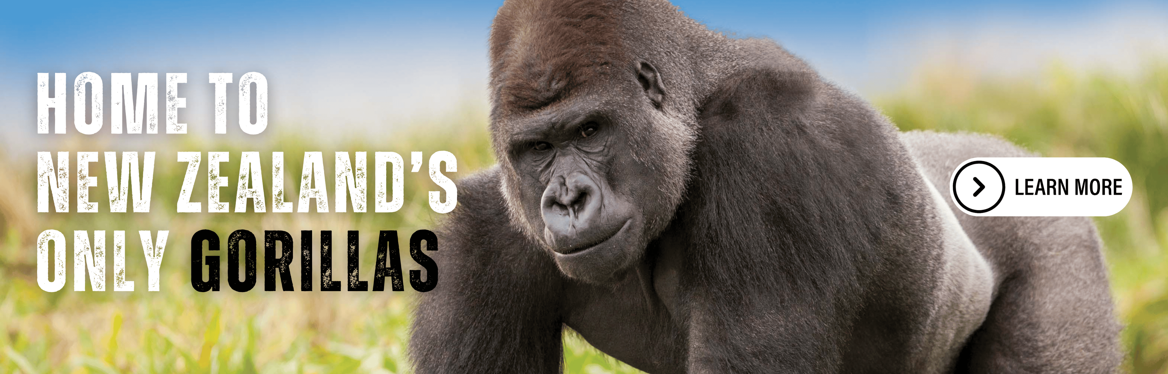 Orana Wildlife Park